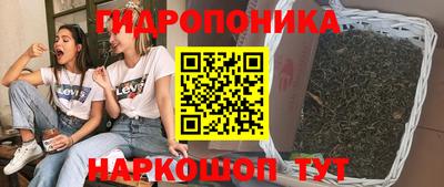 гашик Ипатово