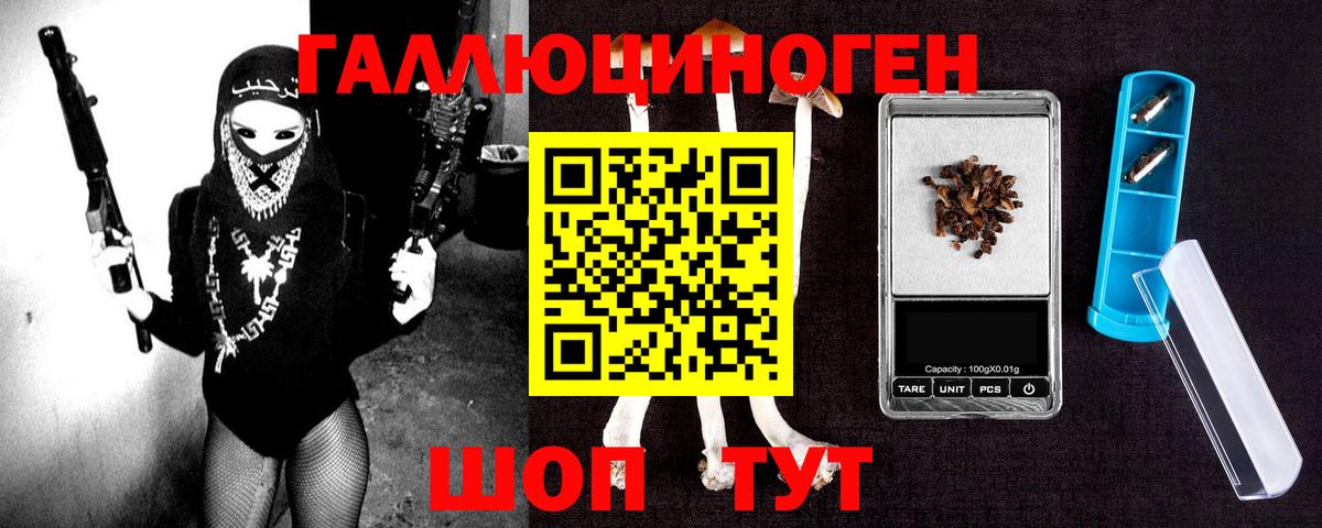 Куйбышев  Псилоцибиновые грибы Cubensis  Вход с VPN 