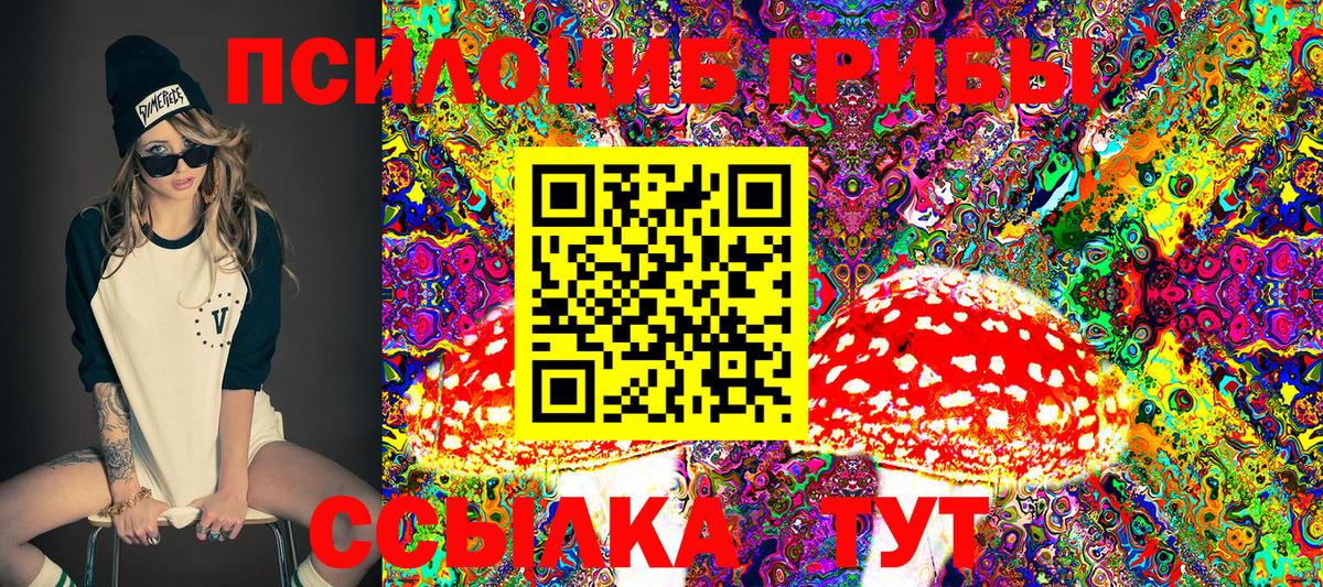 ГАШ Куйбышев