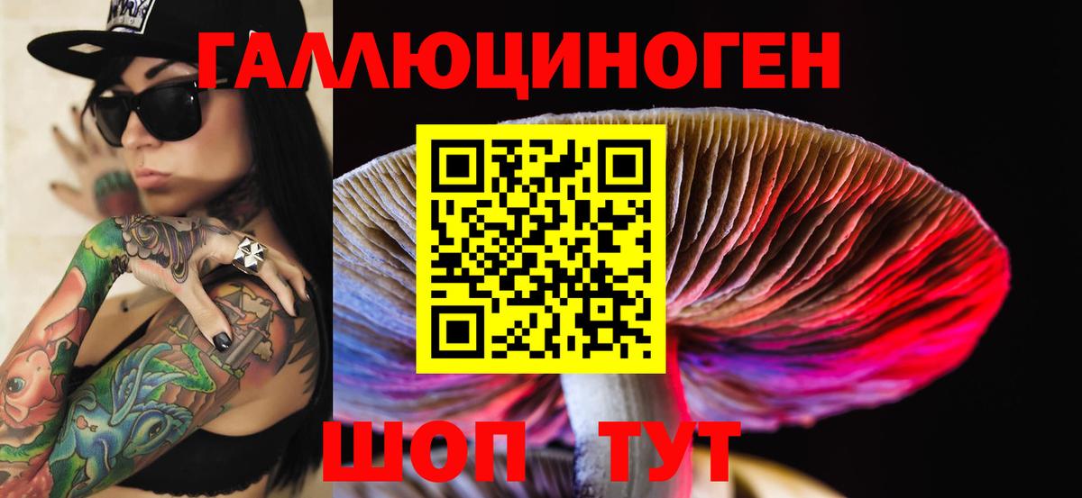 Псилоцибиновые грибы GOLDEN TEACHER Куйбышев